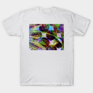 Acolors T-Shirt